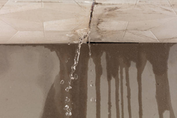 Professional Flood Damage Cleanup technician working in Meddybemps, ME